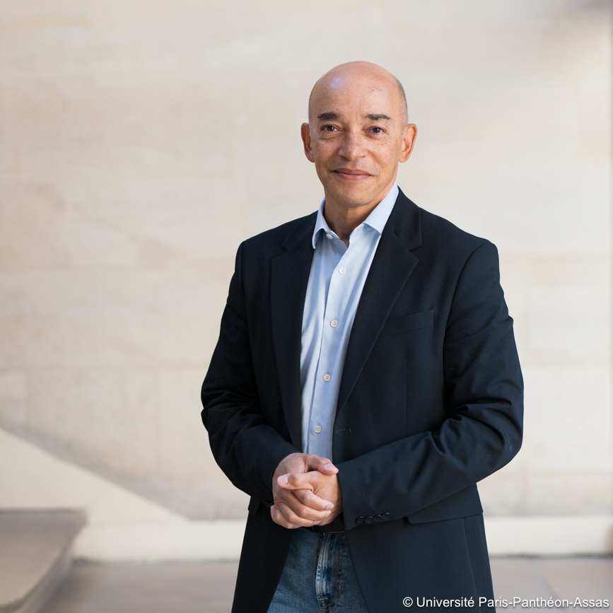 Fabrice d'Almeida, vice président
